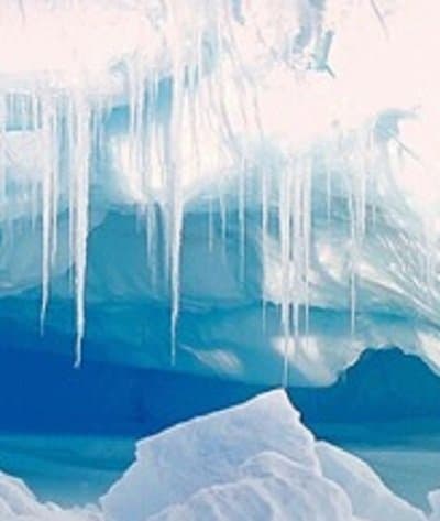 Teora Frigo - Immagine 2