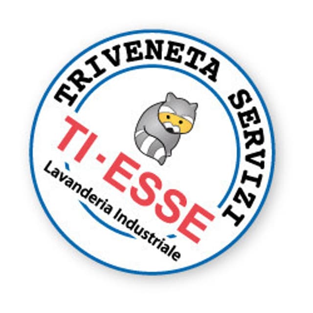 Ti - Esse Triveneta Servizi - Immagine 1