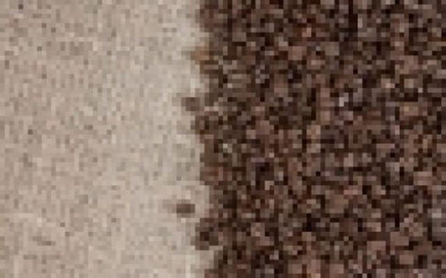 Torrefazione Argo - Immagine 2