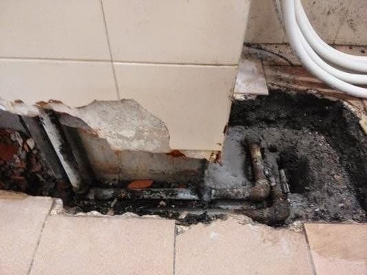 Traina Servizi Ecologici - Immagine 2