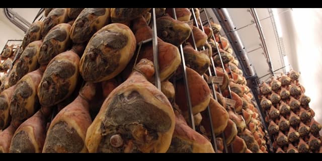 Travaglini S.p.a. - Immagine 1