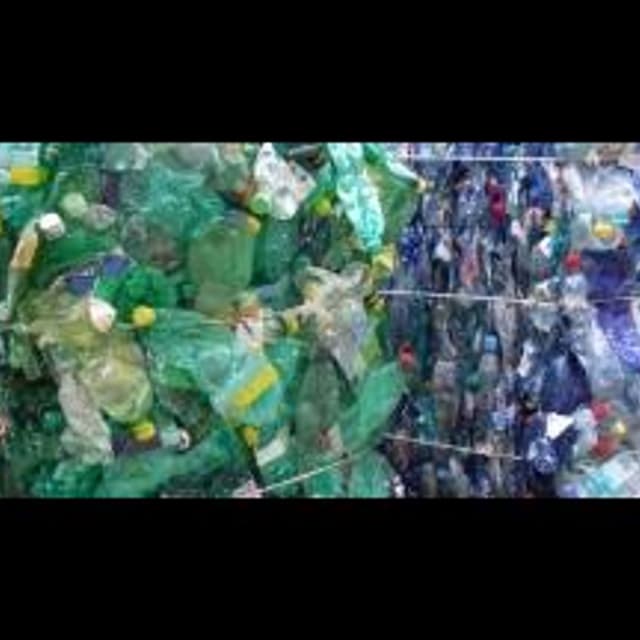 Trevisani Giorgio Srl - Immagine 2