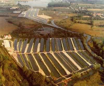 Troticoltura Santa Cristina - Immagine 2