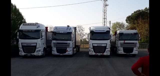 Veneta Pollina - Immagine 1