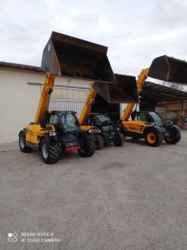 Veneta Pollina - Immagine 2