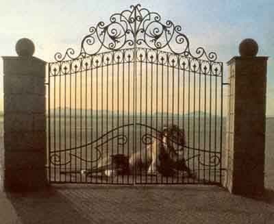 Versilia Automazioni - Immagine 1