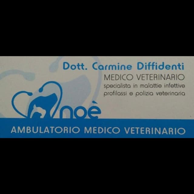 Veterinario Carmine Dr. Diffidenti - Immagine 1