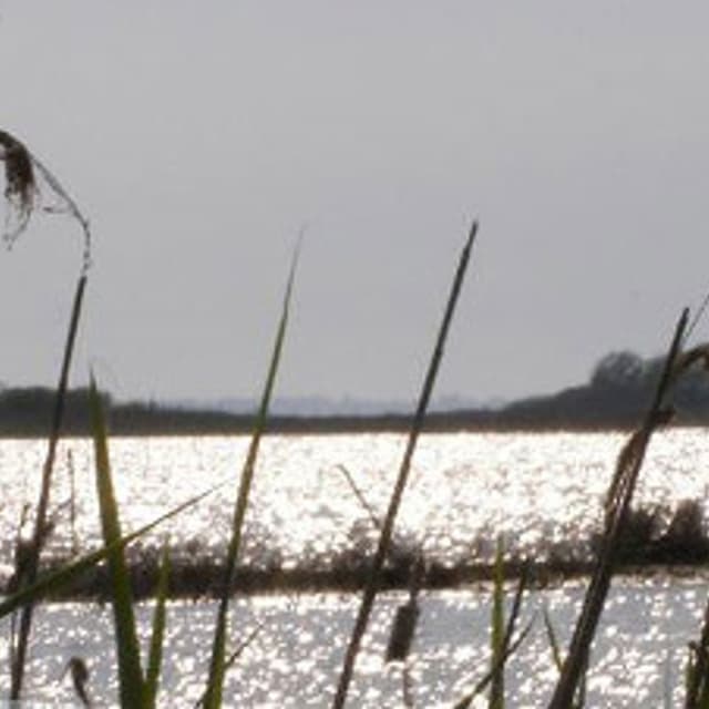 Villaggio Samoa - Immagine 1