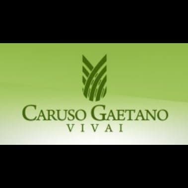 Vivai Caruso Gaetano - Immagine 1