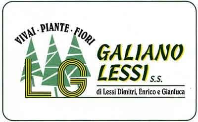 Vivai Galiano Lessi - Immagine 2