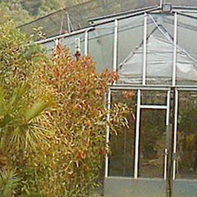 Vivai Piante Rocchetti - Immagine 1