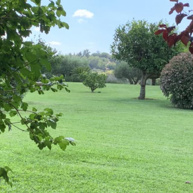 Vivaio Cassia Srl - Immagine 2