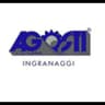 Logo Agosti Ingranaggi s.r.l.