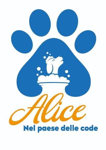 Alice Nel Paese Delle Code - Toeletta