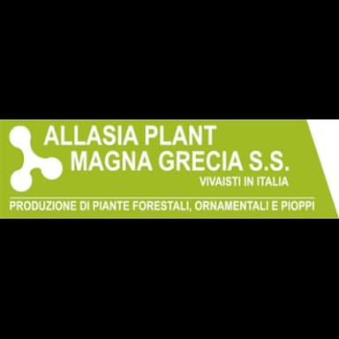Allasia Plant Magna Grecia S.S.