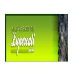 Allevamento dei Lupercali