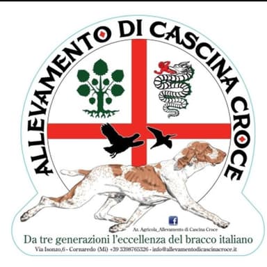 Allevamento di Cascina Croce