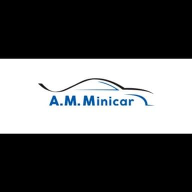 A.M. Minicar Srls