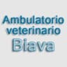 Logo Ambulatorio Veterinario Biava
