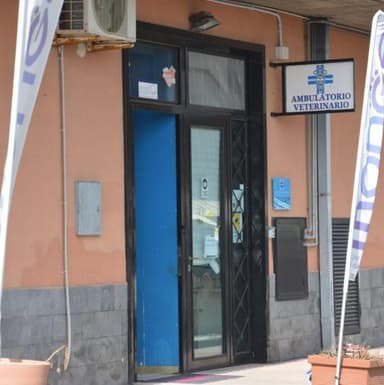 Ambulatorio Veterinario Finocchiaro Dr. Alessandra