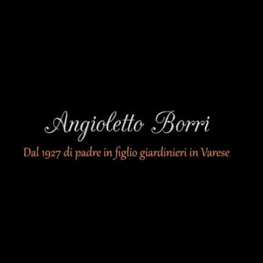 Angioletto Borri