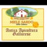 Logo Antica Apicoltura Gallurese