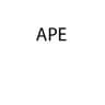 Logo Ape Srl