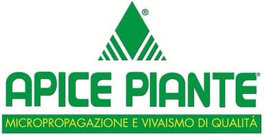 'Apice Piante' del dr. Di Primio Roberto