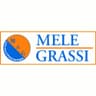 Logo Autocarrozzeria Mele e Grassi
