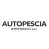 Logo Autopescia Officina Elettrauto
