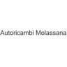 Logo Autoricambi Molassana