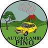 Logo Autoricambi Pino