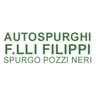 Logo Autospurghi F.lli Filippi - Pozzi Neri