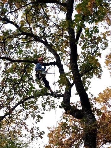 Azienda Agricola Cassissa Gabriele