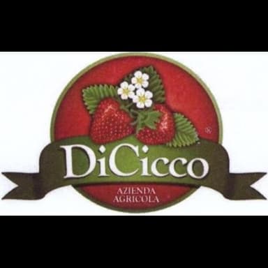 Azienda Agricola Di Cicco