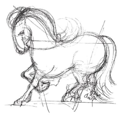 Azienda Vitivinicola Mustiaio