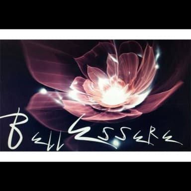 Bellessere di Anna Falcone