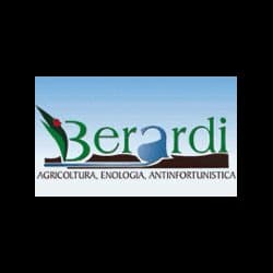 Berardi srl