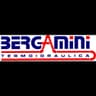 Logo Bergamini Termoidraulica