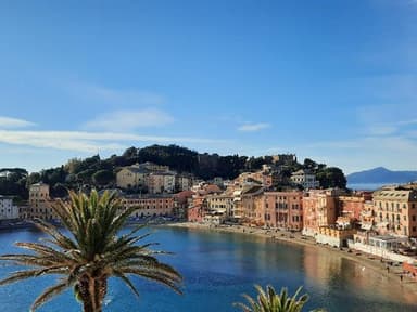 Berti Fabio Impresa di Pulizie e Home Staging