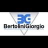 Logo Bertolini Giorgio