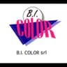 Logo B.I. Color Verniciature