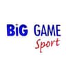Logo Big Game Sport
