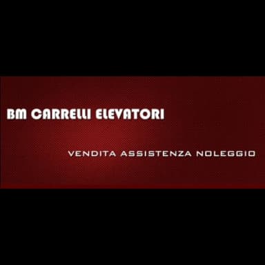 B.M. Carrelli Elevatori