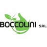 Logo Boccolini Srl