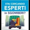 Logo Borboni Roberto Sgomberi e Pulizie