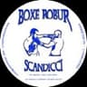 Logo Boxe Robur Scandicci