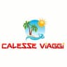 Logo Calesse Viaggi