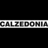 Logo Calzedonia