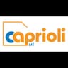 Logo Caprioli Srl